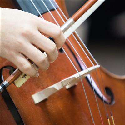 HMS Musicians Earn Top Honors at Virtual Festival